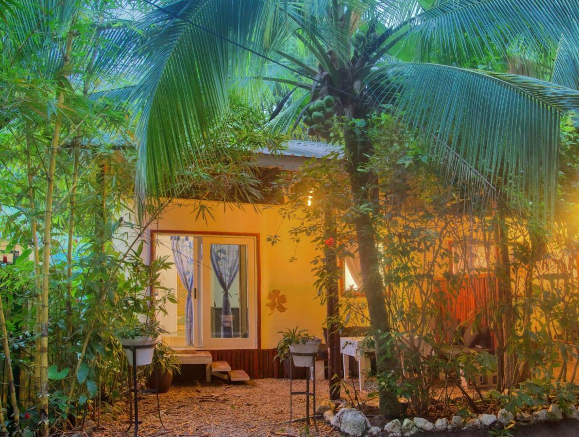 Hotel Jungle'S Edge Nosara Esterno foto