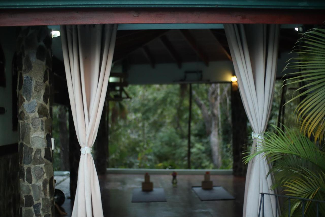 Hotel Jungle'S Edge Nosara Esterno foto