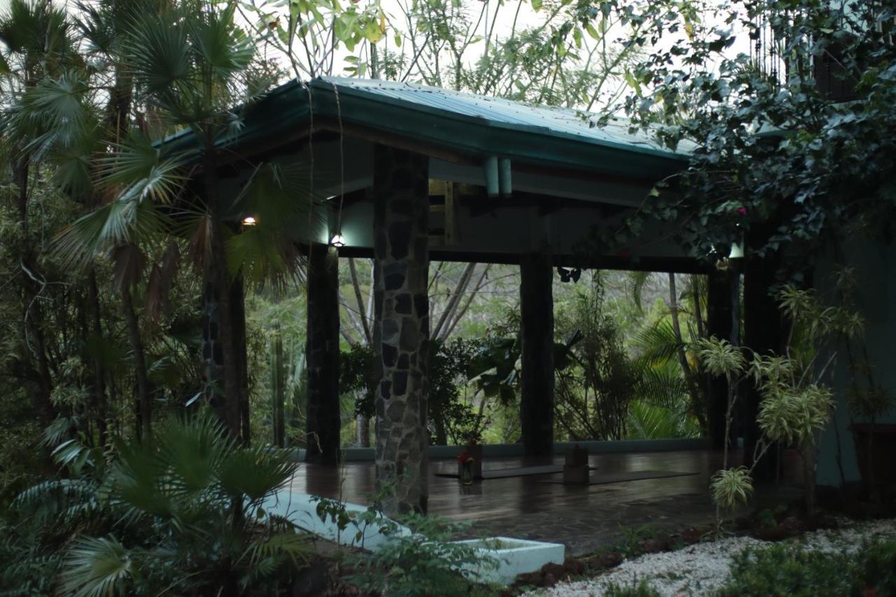 Hotel Jungle'S Edge Nosara Esterno foto