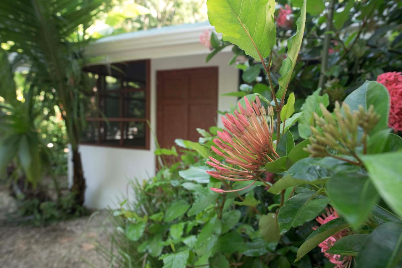 Hotel Jungle'S Edge Nosara Esterno foto