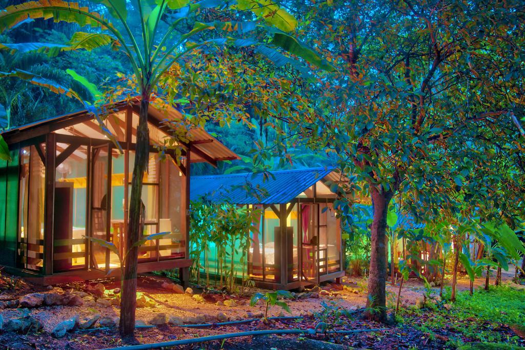 Hotel Jungle'S Edge Nosara Esterno foto
