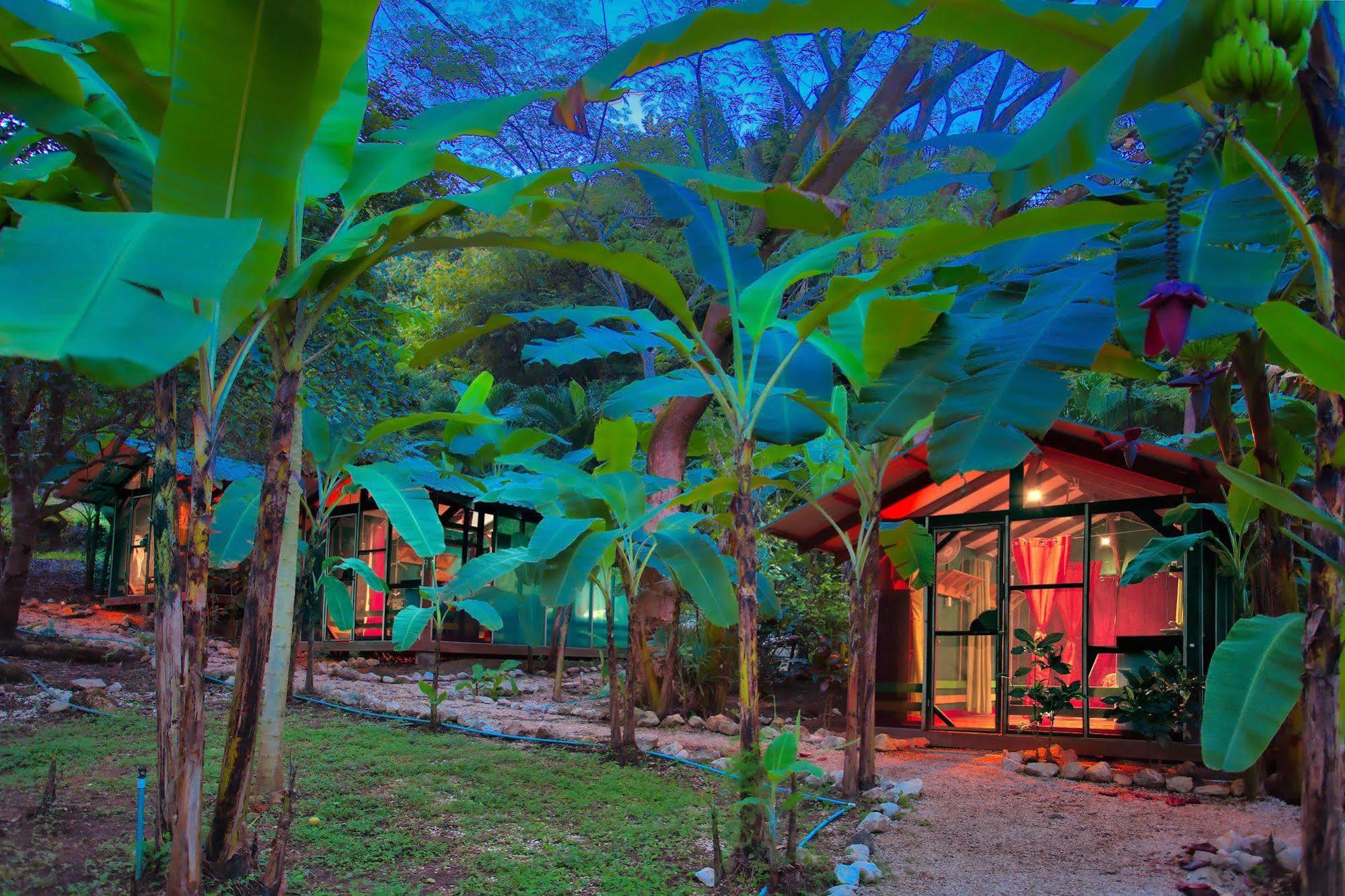 Hotel Jungle'S Edge Nosara Esterno foto